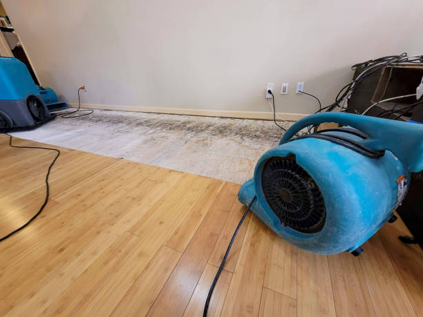 Professional Ceiling Water Damage Repair technician working in Unionville, GA